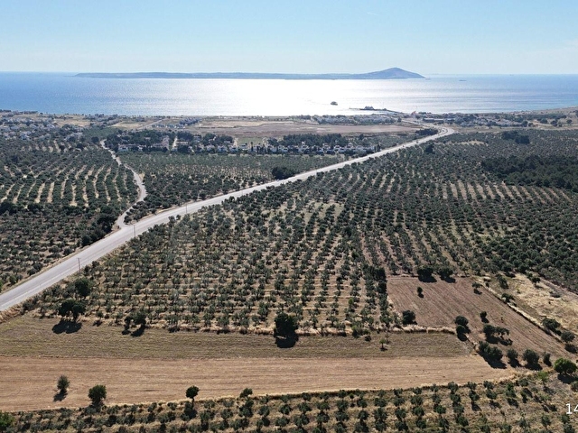 Ezine Geyiklide Asfalt Yola Cepheli 7.916 m² Satılık Arazi - Görsel 8