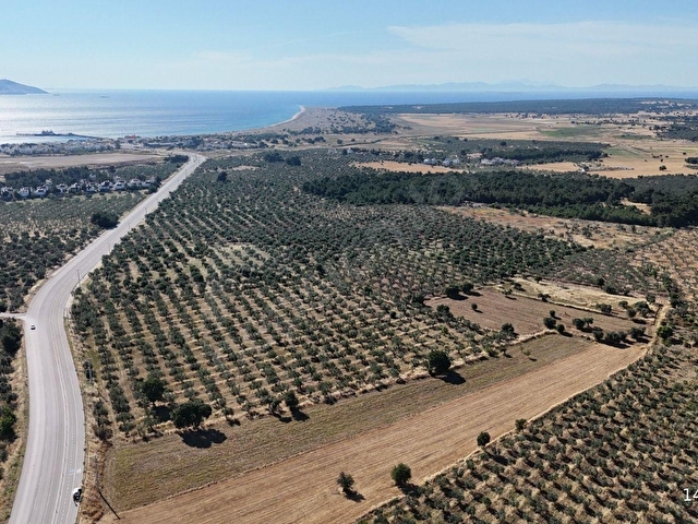 Ezine Geyiklide Asfalt Yola Cepheli 7.916 m² Satılık Arazi - Görsel 11