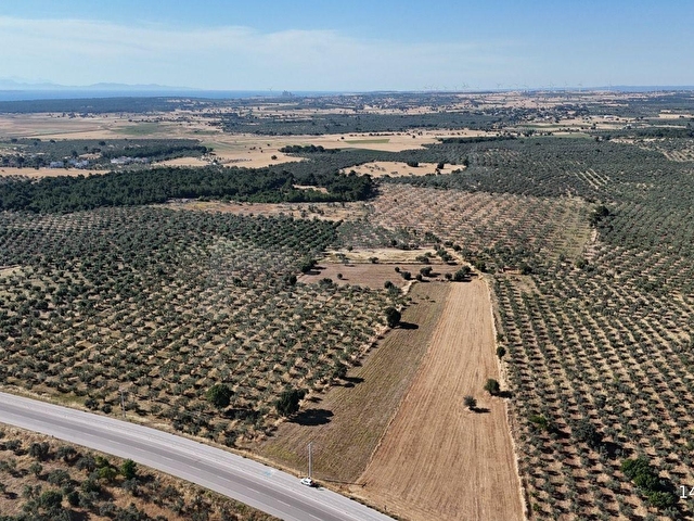 Ezine Geyiklide Asfalt Yola Cepheli 7.916 m² Satılık Arazi - Görsel 17