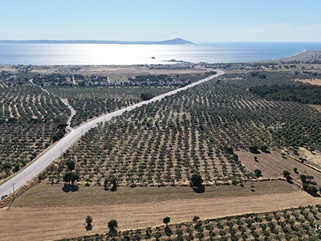 Ezine Geyiklide Asfalt Yola Cepheli 7.916 m² Satılık Arazi