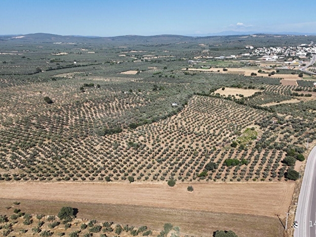 Ezine Geyiklide Asfalt Yola Cepheli 7.916 m² Satılık Arazi - Görsel 12