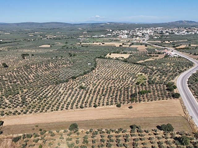 Ezine Geyiklide Asfalt Yola Cepheli 7.916 m² Satılık Arazi - Görsel 18