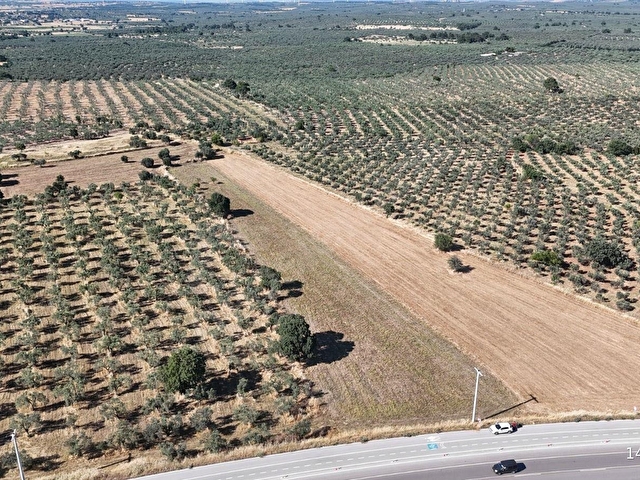 Ezine Geyiklide Asfalt Yola Cepheli 7.916 m² Satılık Arazi - Görsel 22