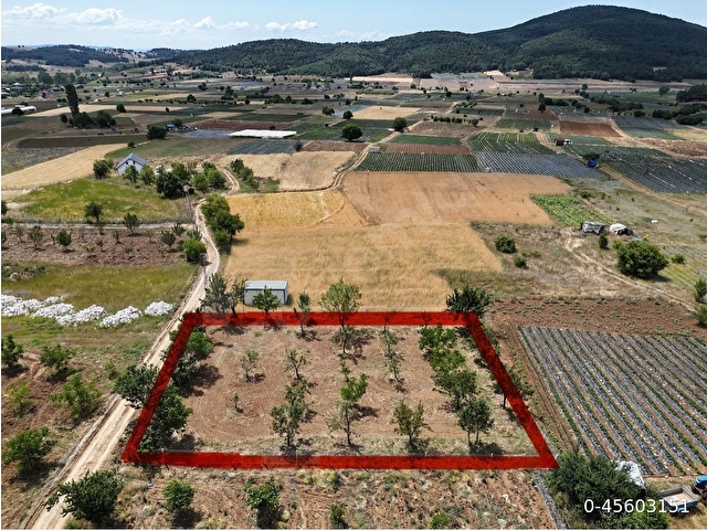 SAKARYA HÜSEYİNLİ MAH. FULL MANZARALI RESMİ YOL 970M2 İMARA SIFIR