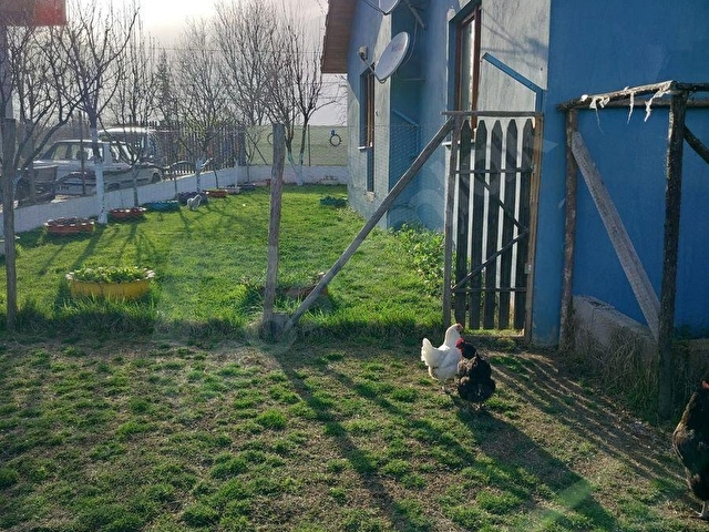BOLU MERKEZ ÇAMPINAR KÖYÜ 575 M2 ARSA İÇİNE KURULU SATILIK  MÜSTAKİL EV - Görsel 8