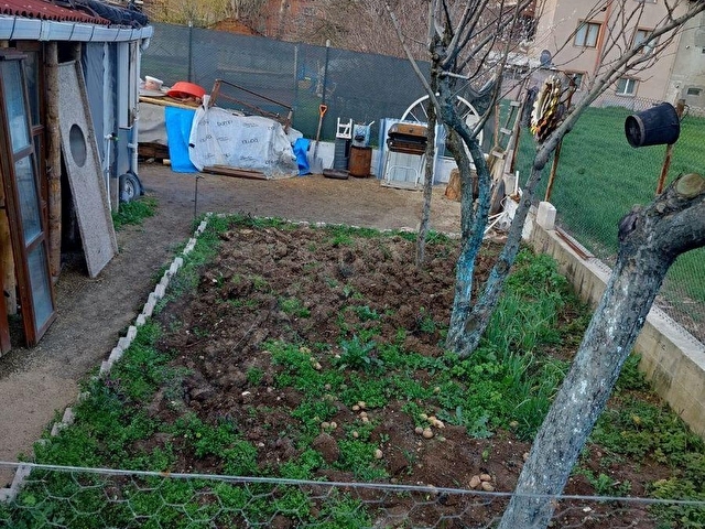 BOLU MERKEZ ÇAMPINAR KÖYÜ 575 M2 ARSA İÇİNE KURULU SATILIK  MÜSTAKİL EV - Görsel 15