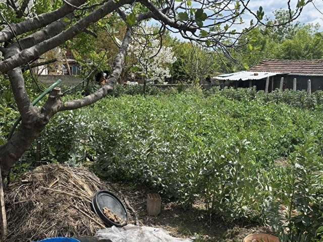 Gazipaşada satılık 3 katlı ev ve bahçesi ile beraber - Görsel 8