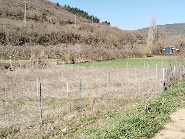 BURSA YENİŞEHİR YENİKÖYDE SATILIK HOBİ BAHÇELERİ - Görsel 4