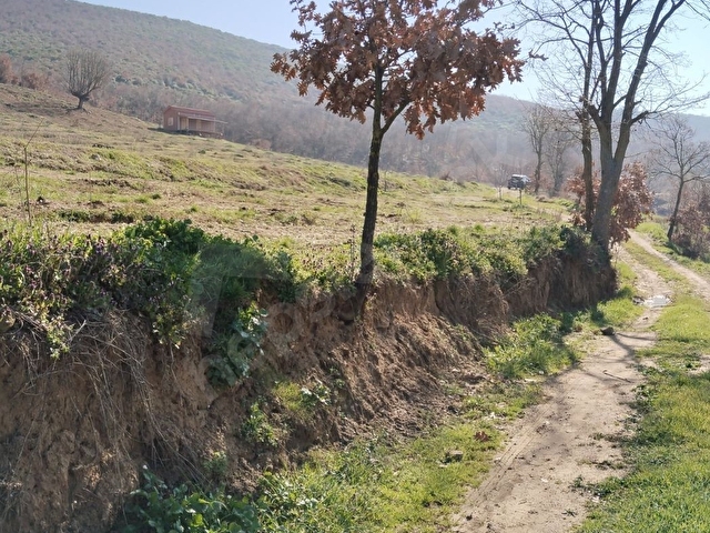 BURSA YENİŞEHİR YENİKÖYDE SATILIK HOBİ BAHÇELERİ - Görsel 13