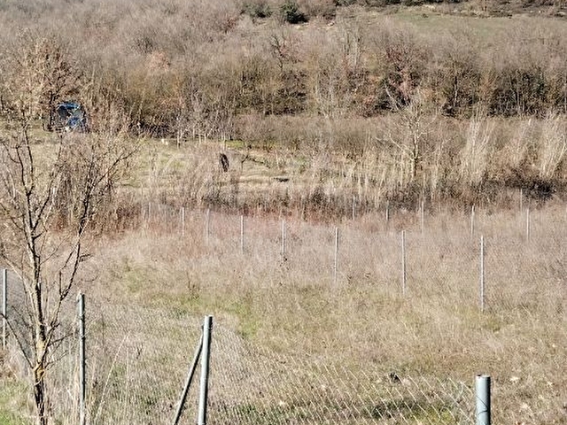 BURSA YENİŞEHİR YENİKÖYDE SATILIK HOBİ BAHÇELERİ - Görsel 26