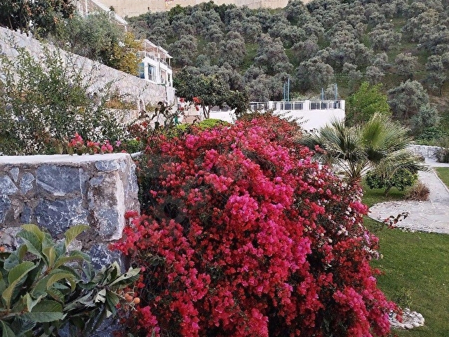 Muğla Milas Güllük Mahallesinde Deniz Manzaralı Satılık Ara Kat Daire - Görsel 4