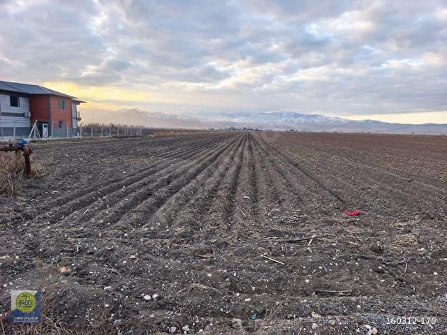 VİLLAMIZ TÜRKOĞLU NARLI ARASINDA 5.491 M2 TARLA İÇERİSİNDEDİR