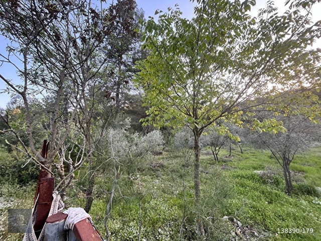 Acilll KAFACA MAH. SATILIK RESMİ YOLA SIFIR ( 0 ) 2.820 M2 TARLA - Görsel 13