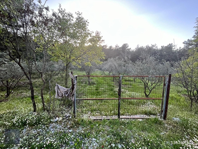 Acilll KAFACA MAH. SATILIK RESMİ YOLA SIFIR ( 0 ) 2.820 M2 TARLA - Görsel 8