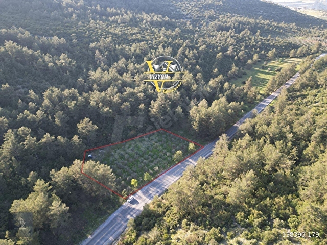 Acilll KAFACA MAH. SATILIK RESMİ YOLA SIFIR ( 0 ) 2.820 M2 TARLA - Görsel 2