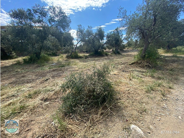 GÜRE IŞIK EMLAKTAN GÜRE TERMAL BÖLGESİNDE 421 M2 15+15 İMARLI ARSA - Görsel 10