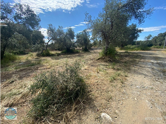 GÜRE IŞIK EMLAKTAN GÜRE TERMAL BÖLGESİNDE 421 M2 15+15 İMARLI ARSA - Görsel 8