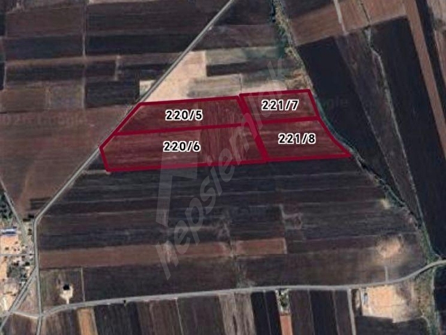 GAP HAVZASINDA 156 DÖNÜM SATILIK TARLA | ELFARİS