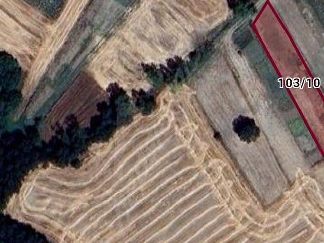 TEKİRDAĞ KARACAKILAVUZDA SATILIK 1.100 M2 KÖYİÇİNDE TARLA - Görsel 8