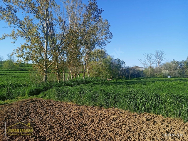 TEKİRDAĞ KARACAKILAVUZDA SATILIK 1.100 M2 KÖYİÇİNDE TARLA - Görsel 3