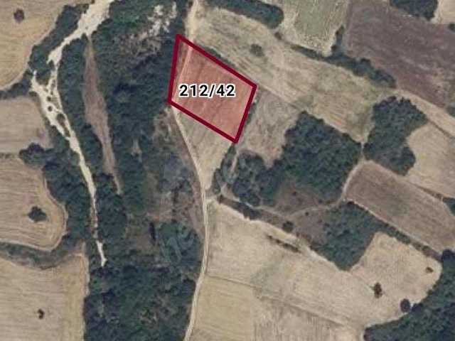 MÜSTAKİL TEK TAPULU 2468 M ARAZİ YATURIMLIK - Görsel 6