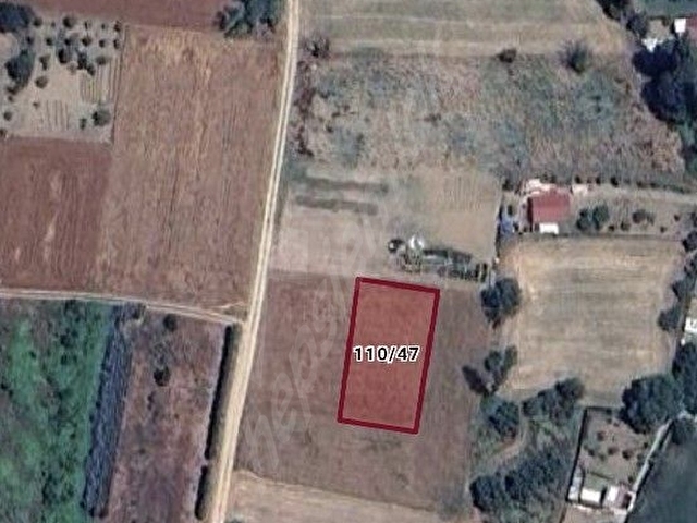 Nilüfer Yaylacık Kiralık