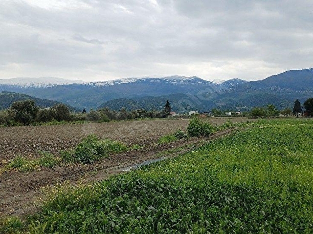 Yılmaz Mah. Satılık imar içi Tarla - Görsel 5