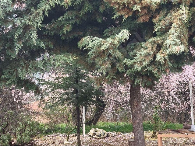 CANER EMLAKDAN  KEÇİKÖYDE SATILIK MÜSTAKİL KÖY EVİ - Görsel 13