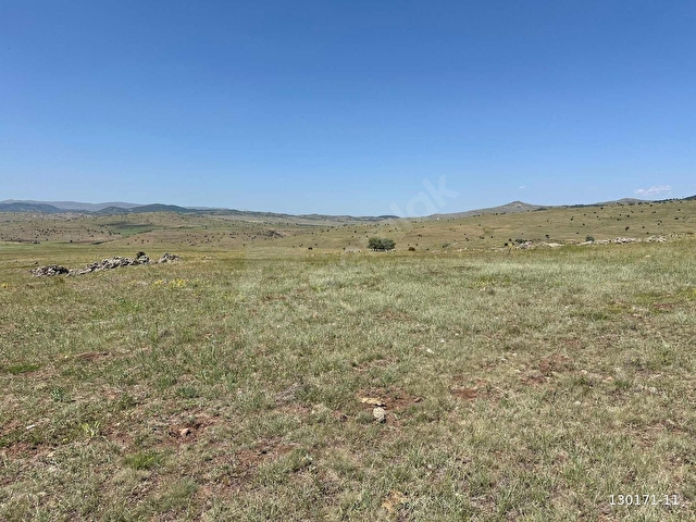 ÖZKANDAN- TEK TAPU- TAHTAYAZIDA 14,367 METRE TARLA - Görsel 5