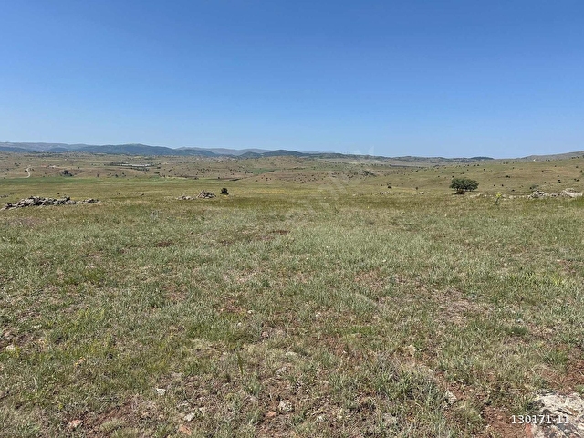 ÖZKANDAN- TEK TAPU- TAHTAYAZIDA 14,367 METRE TARLA