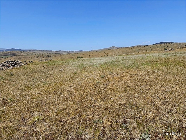 ÖZKANDAN- TEK TAPU- TAHTAYAZIDA 14,367 METRE TARLA - Görsel 3