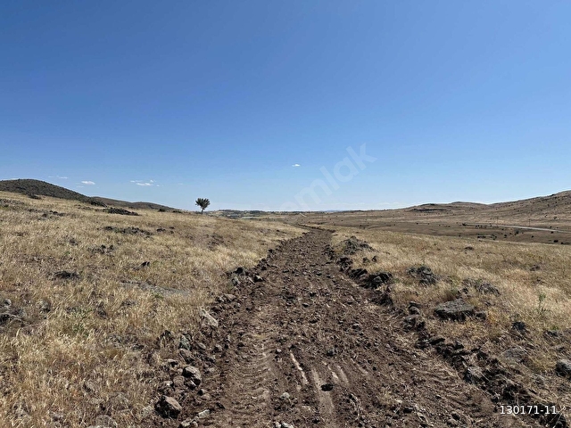 ÖZKANDAN- TEK TAPU- TAHTAYAZIDA 14,367 METRE TARLA - Görsel 2