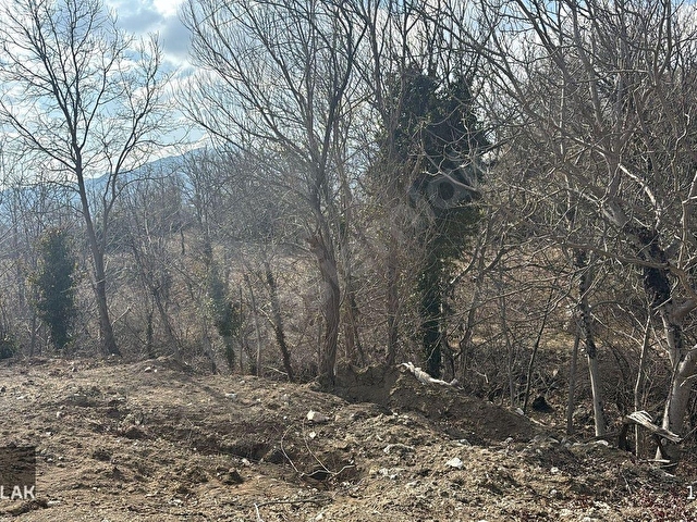 AĞLASUN SAKARCA MAHALLESİNDE SATILIK MUHTELİF ARSA
