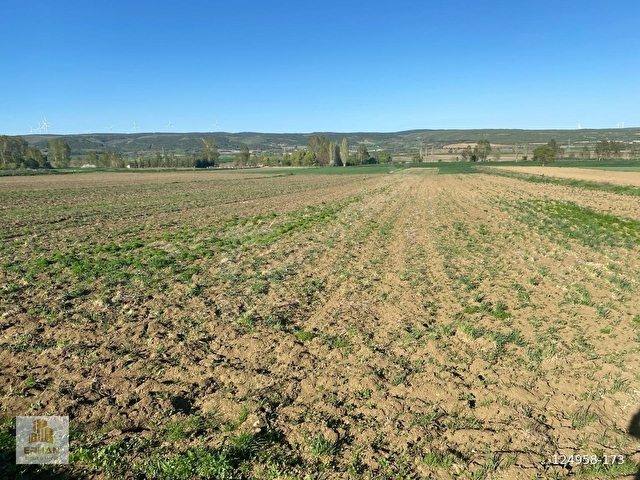 KIRKLARELİ VİZE ÇAVUŞKÖYDE SATILIK 15.700 M2 ARAZİ - Görsel 9
