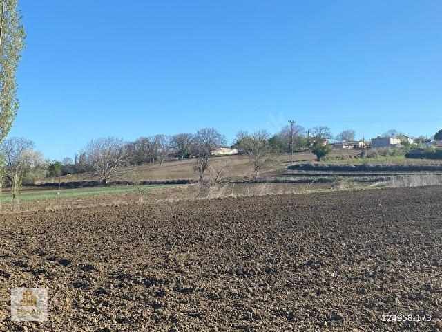 KIRKLARELİ VİZE ÇAVUŞKÖYDE SATILIK 15.700 M2 ARAZİ - Görsel 7