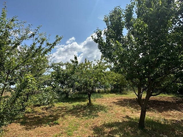 GEBZE PELİTLİDE SATILIK BAĞ EVİ VE  HOBİ BAHÇESİ - Görsel 2