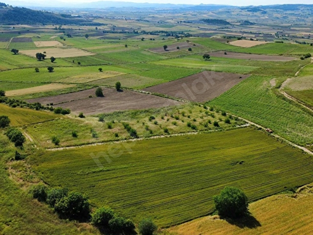 Bursa Yenişehir Çamönü Mahallesinde 2420 m2 Arazi - Görsel 9
