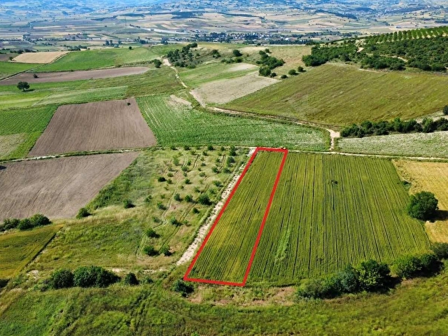 Bursa Yenişehir Çamönü Mahallesinde 2420 m2 Arazi - Görsel 12