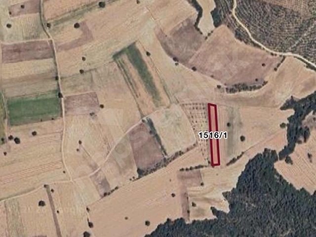 Bursa Yenişehir Çamönü Mahallesinde 2420 m2 Arazi - Görsel 3