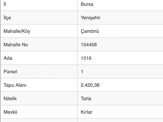 Bursa Yenişehir Çamönü Mahallesinde 2420 m2 Arazi - Görsel 2