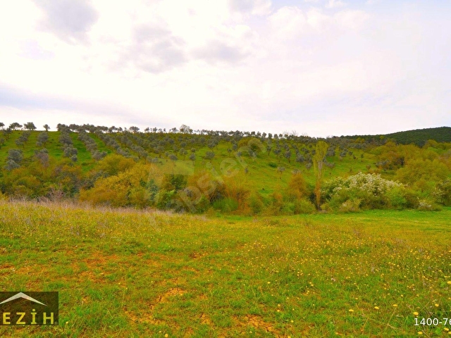 YALOVA MERKEZ SUGÖRENDE BURSA ORHANGAZİ TOKİYE 999 M. MESAFEDE. - Görsel 9