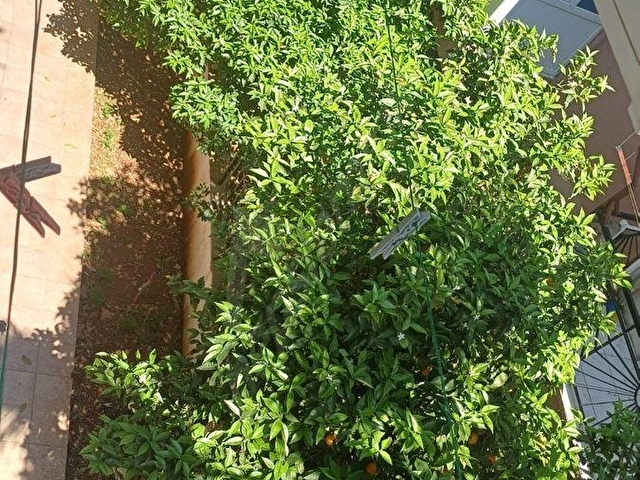 FİYATI DÜŞÜRDÜK !!!!   ANTALYA MERKEZDE, YENİGÜN MAH. KİRALIK  ARAKAT DAİRE 2+1 - Görsel 29