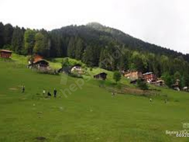 ATAYDAN RİZE ÇAMLIHEMŞİN AYDER FORA PANSİYON. KONAK EVİ, BUNGALOV  AÇIK BÜFE DAHİL KİŞİ BAŞI:2.500 - Görsel 20
