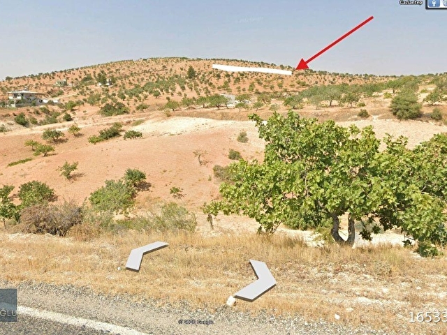 KÖSEOĞLU GAYRİMENKULDEN ŞEHİTKAMİL BATTALDA 7.685m² ZEYTİNLİK