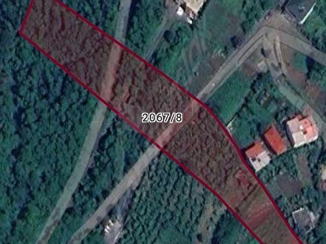AKÇAABAT TATLISU KÖYÜNDE SATİLİK 1600 M2 ARSA