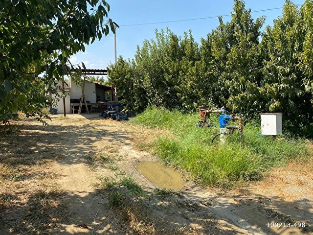 Izmir Kemalpasa Bagyurdunda Satilik Seftali Bahcesi 100213 498 Hurriyet Emlak