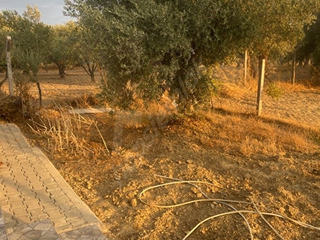 SAHİBİNDEN 200 m2 ARSA İÇİNDE 42m2 EV - Görsel 11
