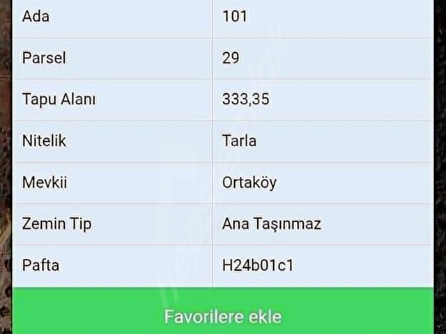 Geyve Alıplar Acil satılık ! - Görsel 9