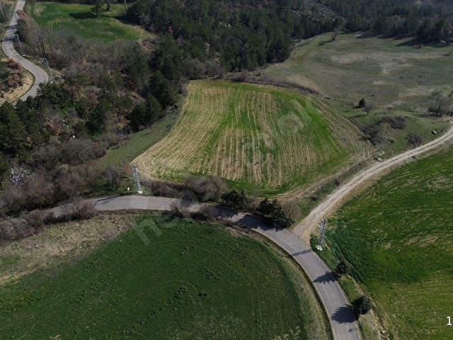 SAKARYA GEYVE SABIRLARDA ANA YOLA CEPHE 8.066 M2 UYGUN ARSA - Görsel 4