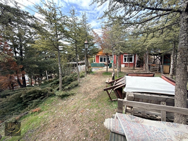 ÇELİKER EMLAKTAN BAĞLUMDA ÇAMLARIN İÇİNDE DAİRE FiYATINA SATILIK VİLLA - Görsel 12